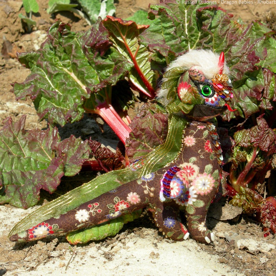Rhubarbella-5 drb019-5