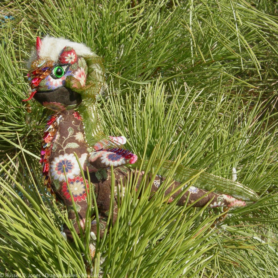 Rhubarbella-4 drb019-4